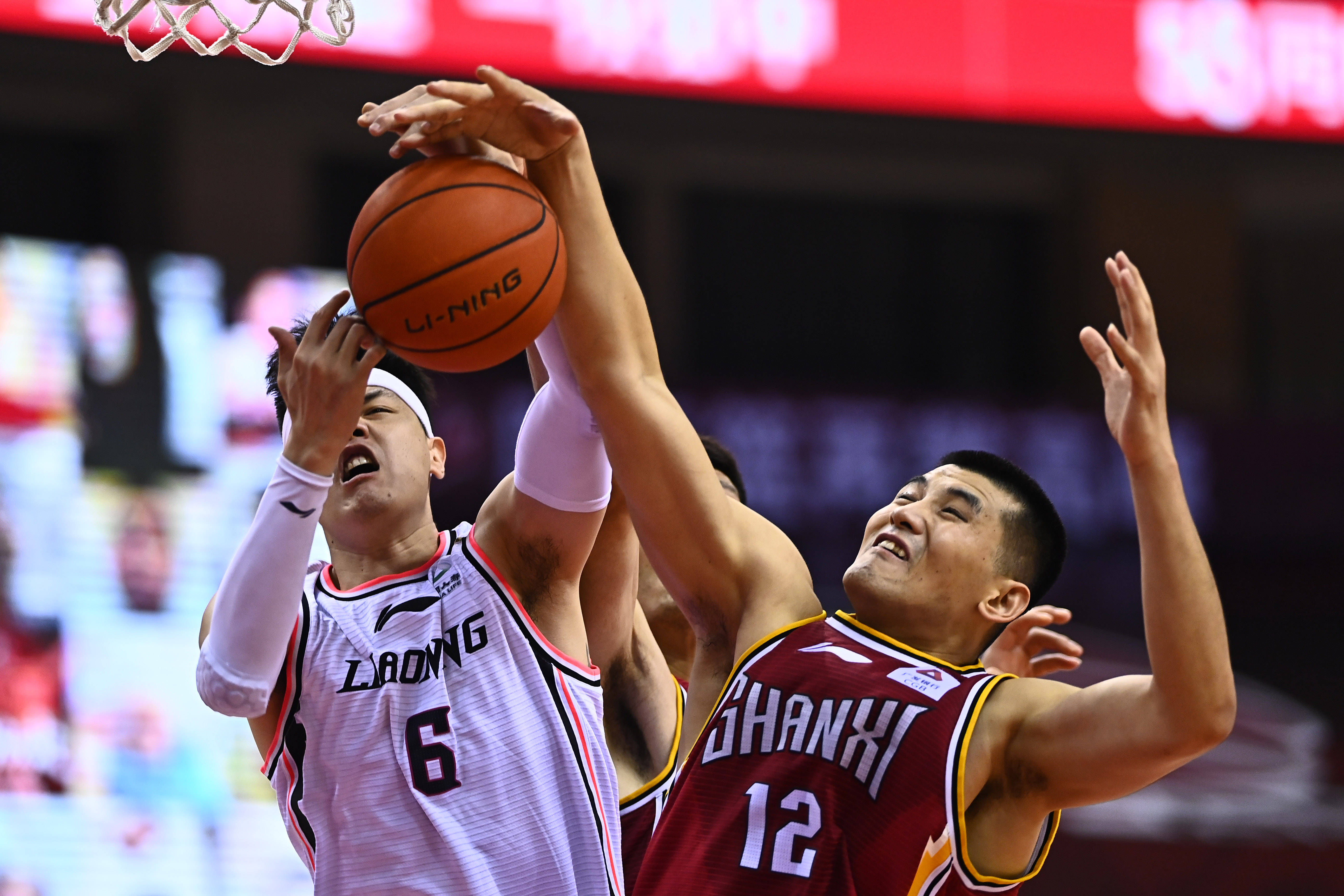 意外来客，切尔西和巴萨欧冠赛前一只狐狸闯入斯坦福桥看台（欧冠前夜趣闻：狐狸闯入斯坦福桥看台，切尔西对巴萨惊现不速之客）